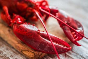 4 Delicious Ways to Cook Lobster
