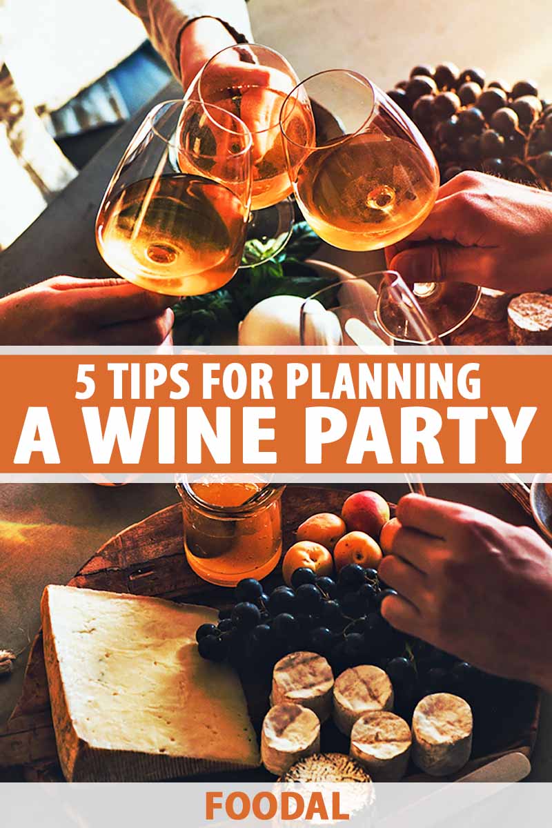 Vertical image of a small dinner spread with people toasting, with text in the middle and on the bottom of the image.