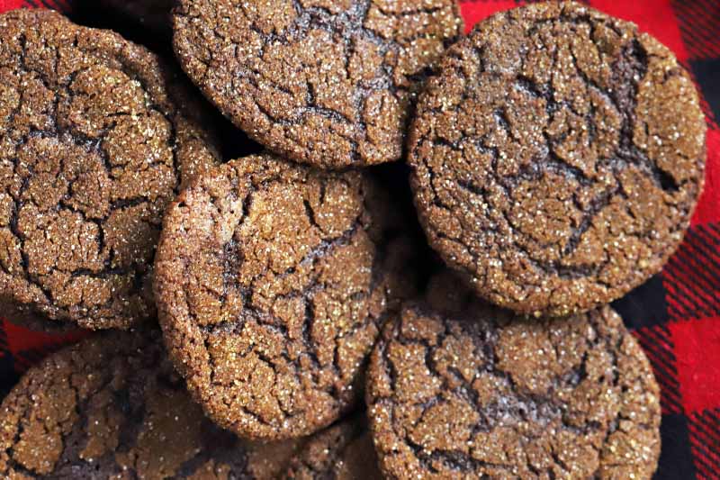 Five dark chocolate cookies are arranged on black and white plaid flannel, overlapping at the edges.