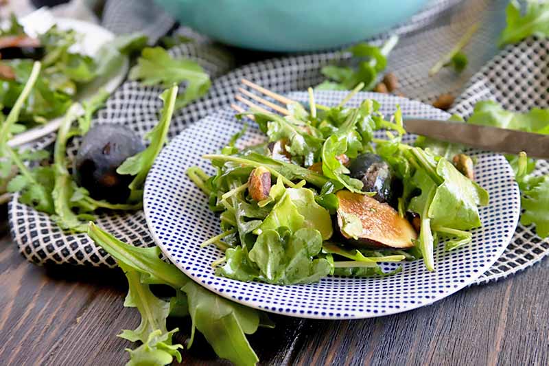Horizontal image of a blue and white patterned plate of arugula with sliced figs and pistachios, with a stainless steel fork on the rim, on a brown wooden table topped partially with a patterned black and white cloth, with scattered nuts and leaves, and a blue glass bowl beside a plate in the background.