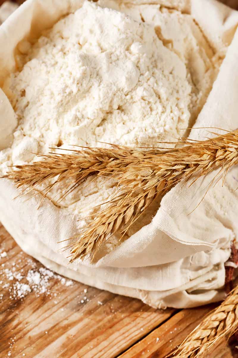 Vertical image of a bag of milled wheat next to a couple stalks on a wooden table.