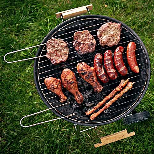 Barbecue Grill Reviews | Foodal.com