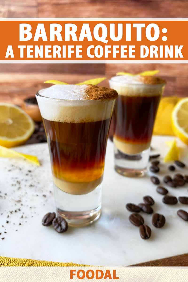 Vertical image of two shooters filled with a layered espresso cocktail topped with cinnamon and lemon peel, with text on the top and bottom.