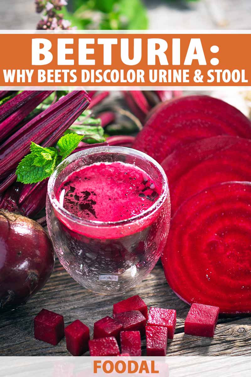 Vertical image of a glass of juice next to whole, sliced, and cubed red root vegetables, with text on the top and bottom of the image.