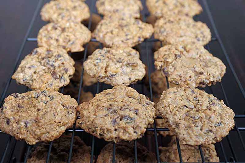 Horizontal image of cooling rows of oatmeal baked goods on cooling racks.