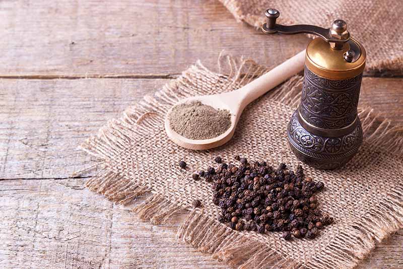 Horizontal image of a vintage metal kitchen gadget next to seasonings on a burlap napkin