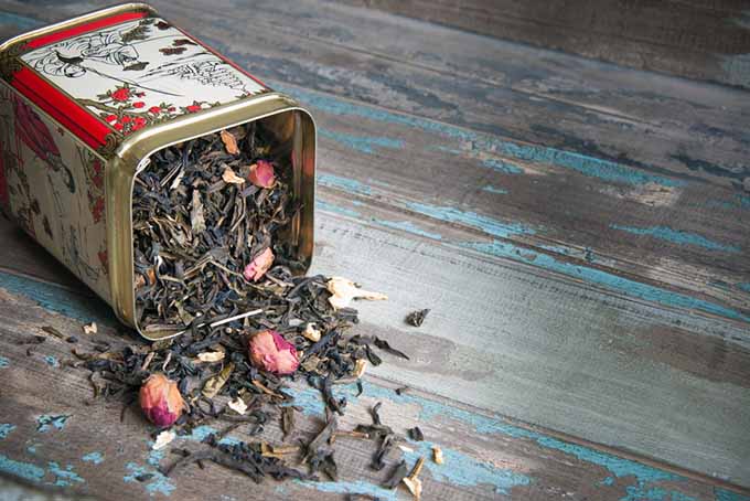Spilled Tea Cannister | Foodal.com