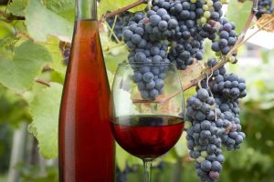 The Five Top Wine Coolers for Your Home