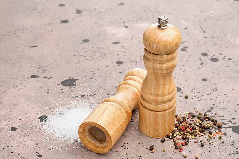 Horizontal image of two wooden kitchen gadgets next to piles of seasoning.