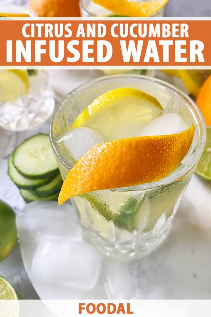 Vertical close-up image of a glass filled with a clear beverage, slices of fresh produce, and a thin slice of rind as garnish, with text on the top and bottom of the image.