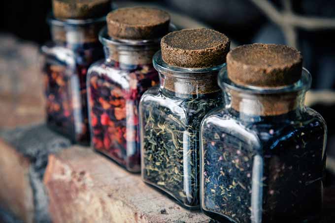 Bottles of Tea | Foodal.com