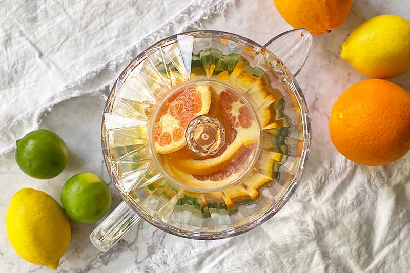 Horizontal image of a clear plastic pitcher filled with fresh produce in slices, with the lid on.