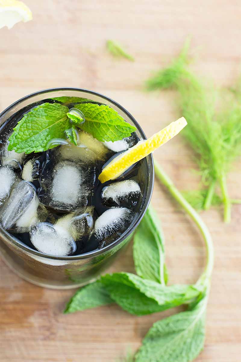 Vertical top-down image of a glass filled with a dark green liquid and topped with ice cubes, fresh mint, and a lemon slice on a wooden surface with other fresh herbs and green fronds.