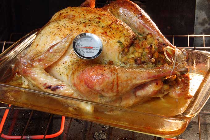 Features of the best meat thermometers | Foodal.com