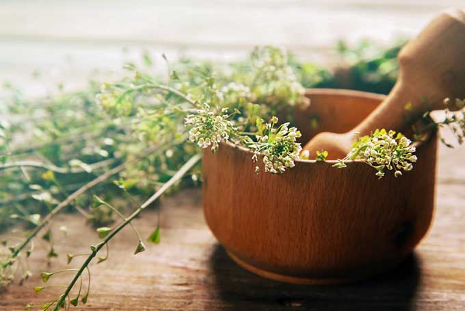 Foodal's Guide to Choosing the Best Mortar and Pestle | Foodal.com