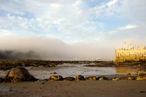 Four Days in Maine