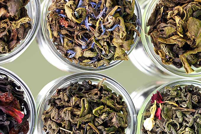 Tea Storage in Glass | Foodal.com