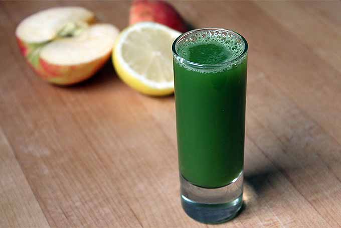 Beginner Spinach Apple Juice | Foodal.com