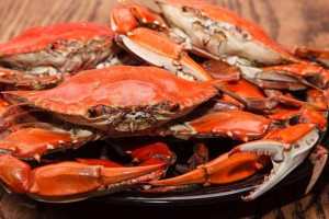 Crabs: Ultimate Guide to Buying, Preparing, and Cooking