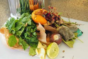 Kitchen Composting 101: 4 Easy Methods to Repurpose Food Scraps