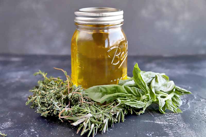 Vertical imgae of a jar of golden yellow oil with a metal collar and top, with sprigs of fresh rosemary and basil arranged around the base, on a scratched and marked gray stone surface, against a mottled gray and white background.