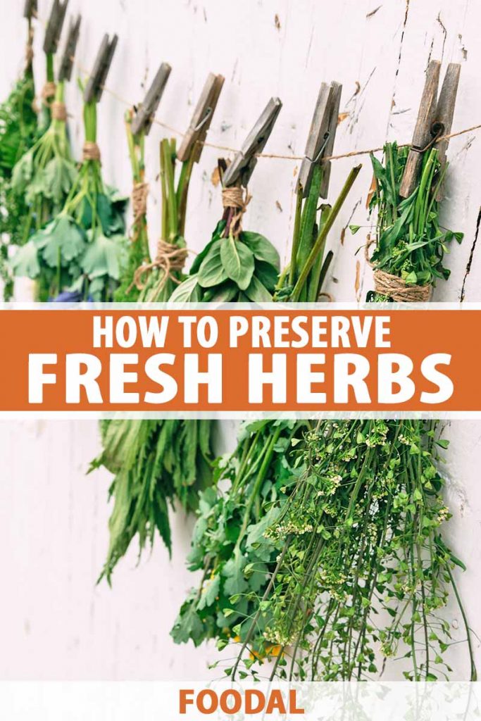 Vertical image of fresh foliage hanging to dry with twine and clothespins, with text in the middle and on the bottom.