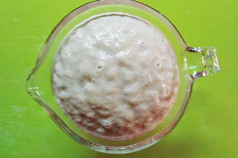 Horizontal image of testing the strength of yeast with water in a measuring cup.