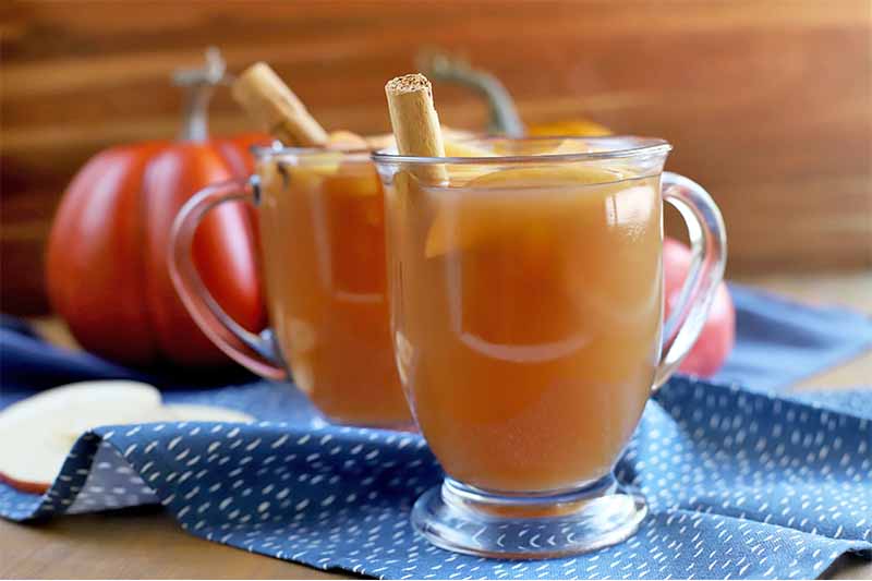 Two glass mugs of mulled apple cider punch, with cinnamon sticks for garnish, on a gathered blue table runner with a pattern of white spots, on a wood table and against a brown wood backdrop, with sliced and whole apples and plastic pumpkin decorations in the background.