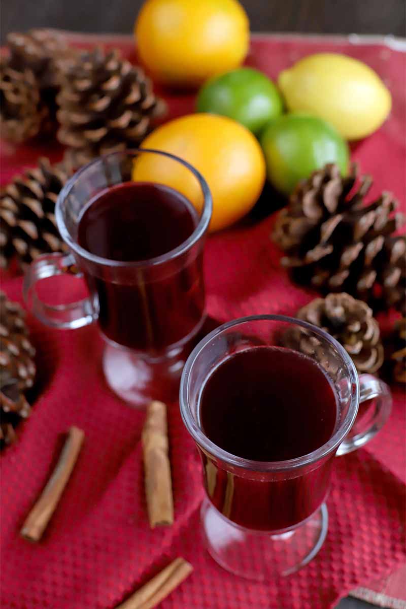 Oblique shot of two glass mugs of mulled wine, on a red fabric surface with pine cones, citrus fruits, and whole cinnamon sticks.