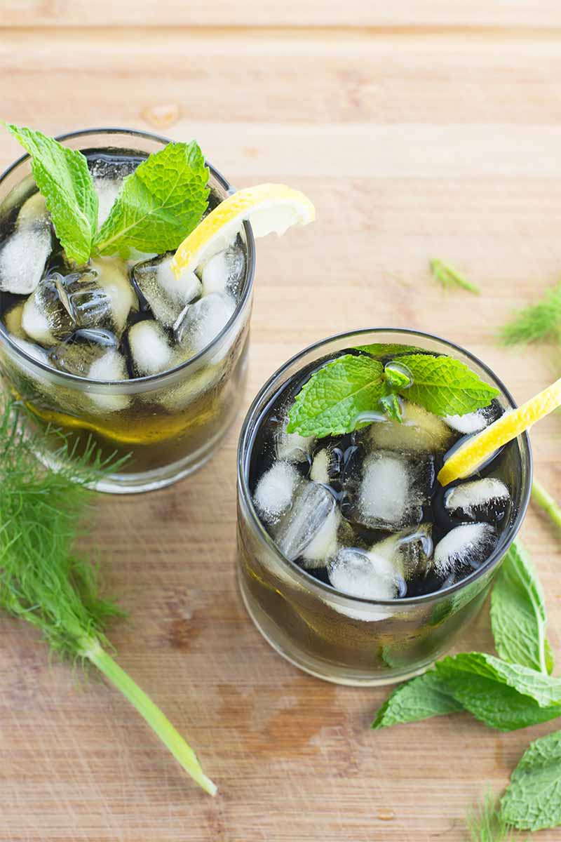 Vertical image of two glasses filled with a dark green clear liquid topped with ice, mint, and lemon wedges on a wooden surface next to green fronds.