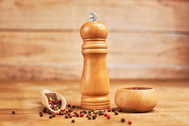Horizontal image of a wooden kitchen gadget next to whole seasonings.