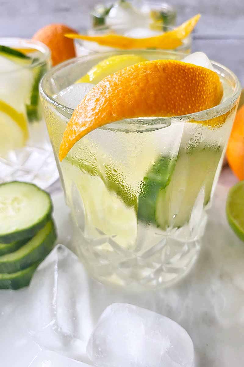 Vertical close-up image of a glass filled with a beverage with ice cubes, slices of fruits, and a rind garnish.