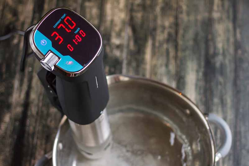 Horizontal image of checking temperature of a pot of water.