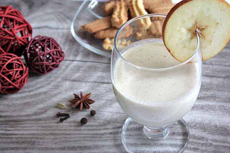 Horizontal image of a glass filled with a creamy beverage with an apple slice garnish.