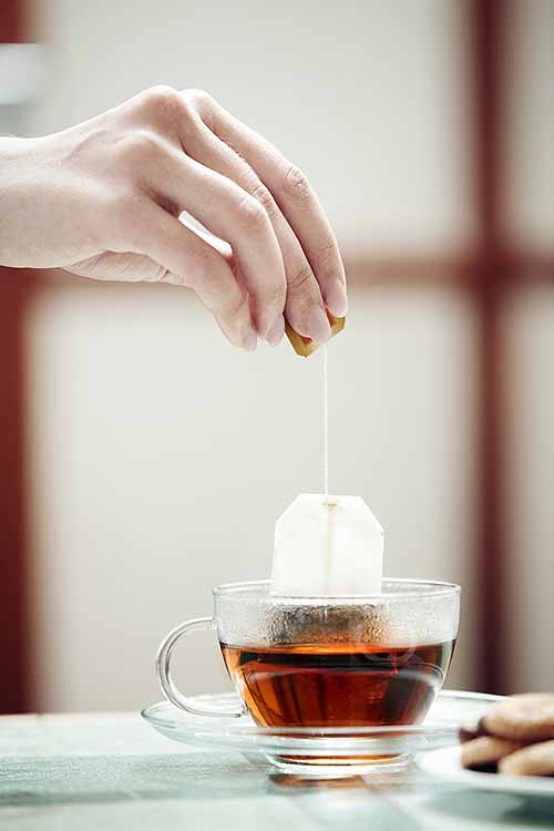 If you're absolutely picky about your tea, we've got the perfect guide for you: how to choose the very best tea storage containers and organizers! These are pivotal to the life, taste, and longevity of your favorite teas. Find it all here on Foodal: https://foodal.com/drinks-2/tea/equipment/best-tea-storage-containers/