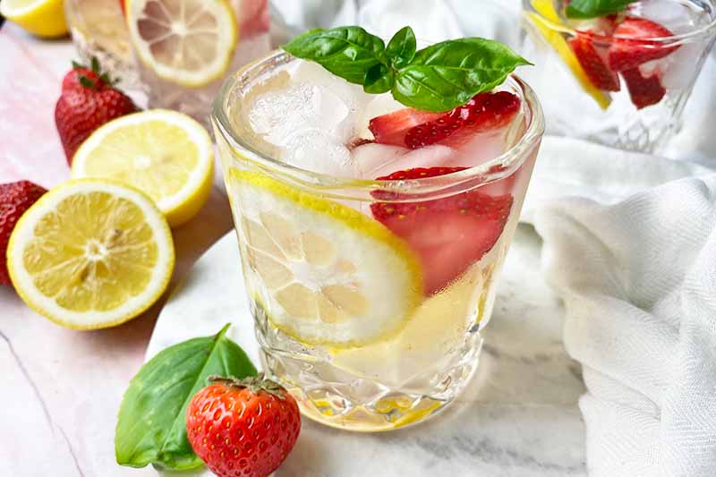 Horizontal image of glasses filled with a clear liquid mixed with slices of fruit topped with basil leaves.
