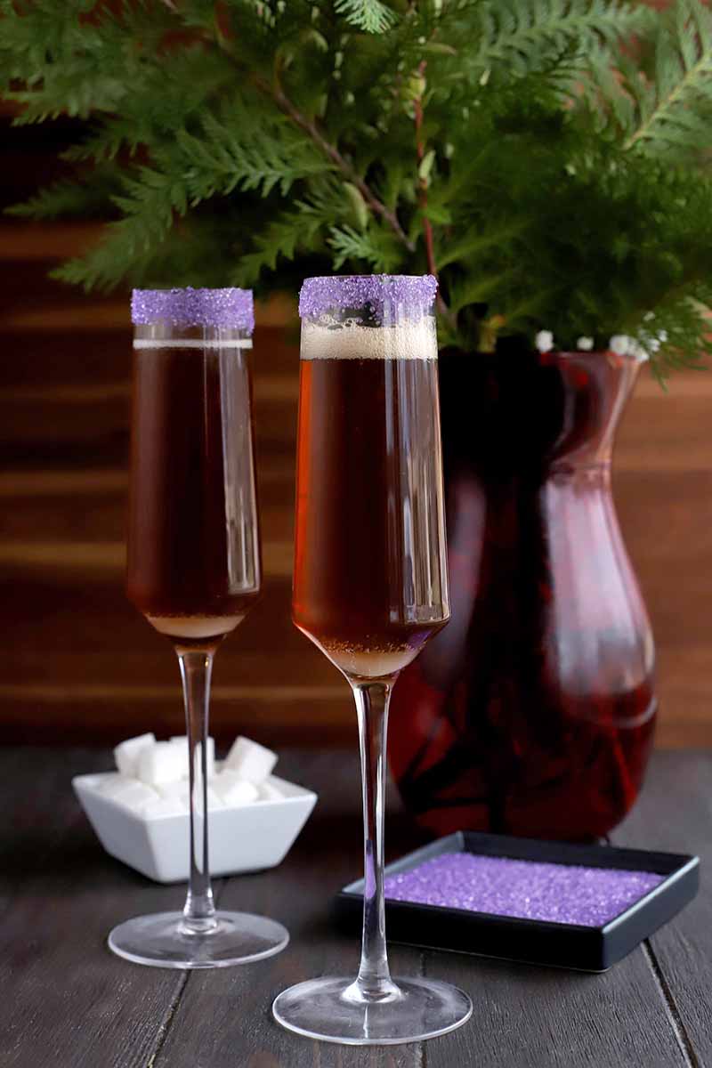 Two Sugar Plum cocktails in champagne flutes with purple sugar rims, with more of the sugar in a black shallow dish to the right, and a small white dish of sugar cubes beside a maroon vase filled with evergreen branches against a brown background.