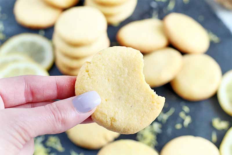 A woman's hand with a pale purple manicured thumb nail holds a cookie with a bite taken out of it up to the camera, with more of the baked goods piled and scattered in shallow focus in the background, on a black piece of slate with lemon slices and zest.