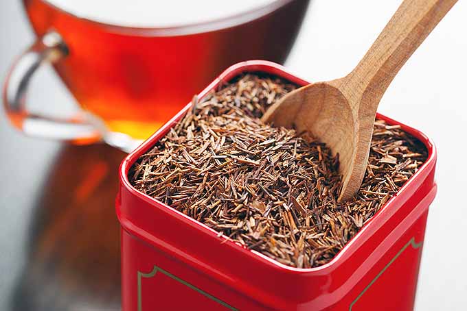 Tea Storage Review Cover | Foodal.com