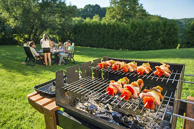 The Best Charcoal Barbecue Grills on the Market Today | Foodal.com