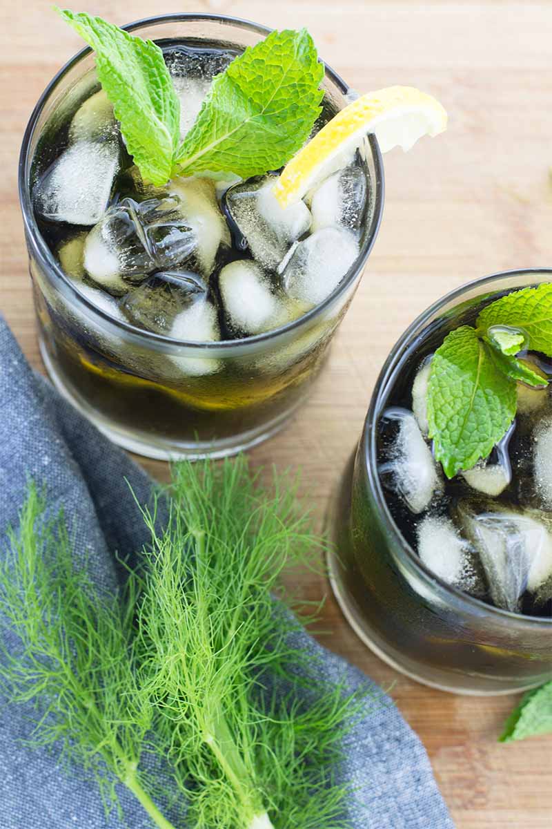 Vertical image of two glasses filled with a dark green clear liquid topped with ice, mint, and lemon wedges on a wooden surface next to a blue towel and green fronds.
