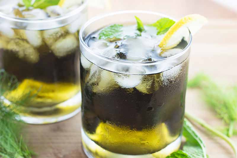 Horizontal image of two glasses with a green liquid topped with ice, mint, and lemon.