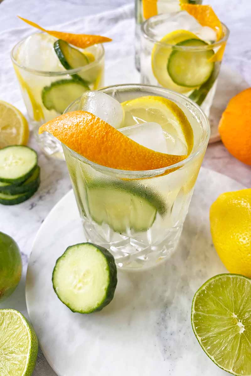 Vertical image of glasses filled with a beverage mixed with ice cubes and slices of fruit with a rind garnish.