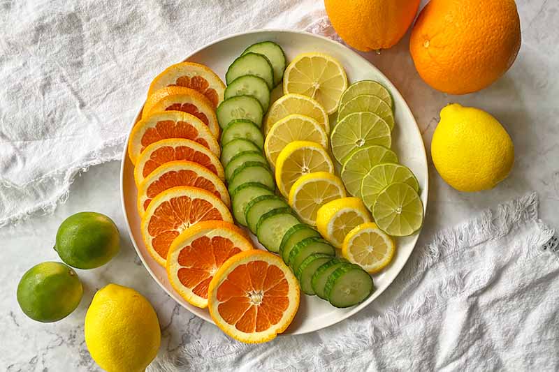 Horizontal image of a white plate with slices of assorted fruits and vegetables.