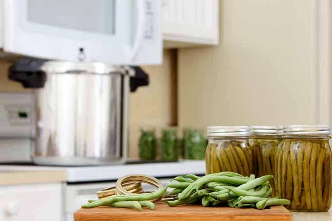 Foodal's In-Depth Guide to Top Rated Pressure Canners