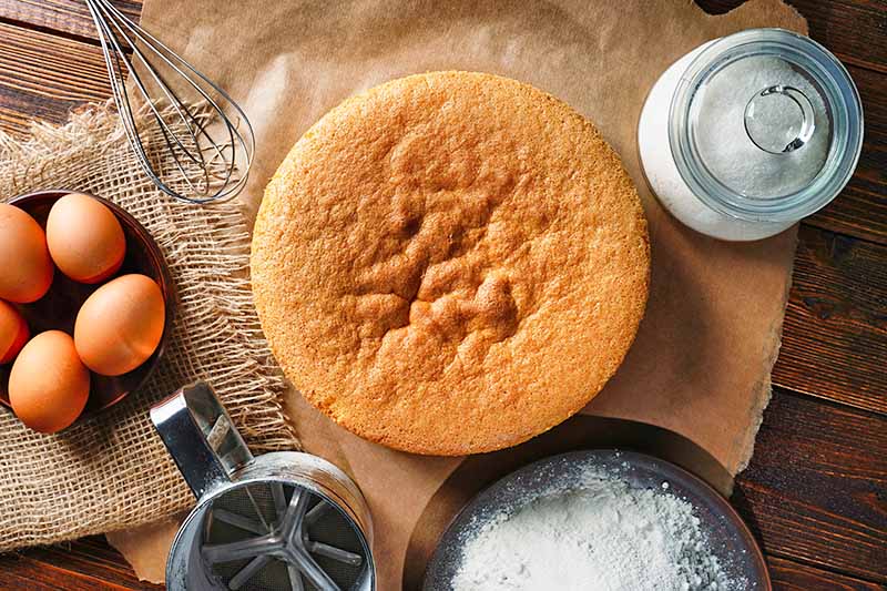 Horizontal top-down image of a single vanilla round base on parchment paper next to tools and assorted ingredients.