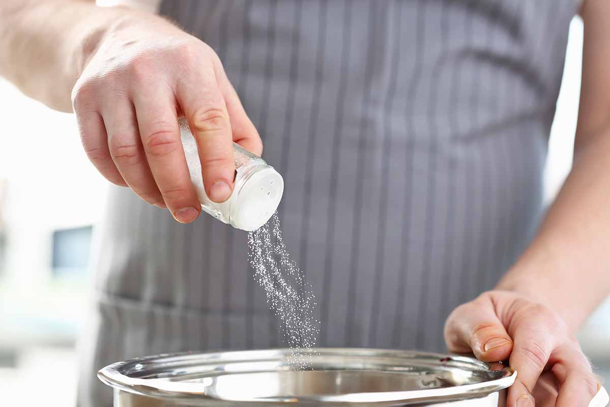 Horizontal image of a chef wearing an apron seasoning food in a pot.