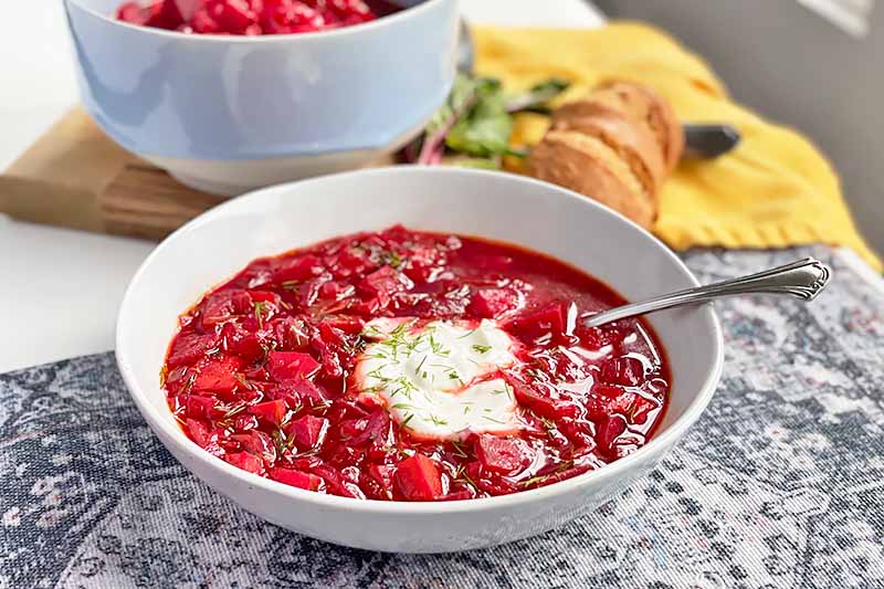 Horizontal image of a white bowl filled with a bright red stew topped with sour cream and chives on a towel next to another bowl and a yellow towel.