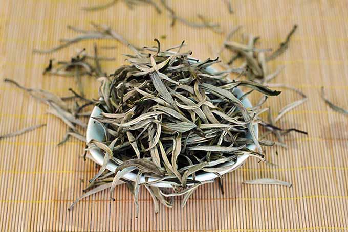 White Tea Cover | Foodal.com